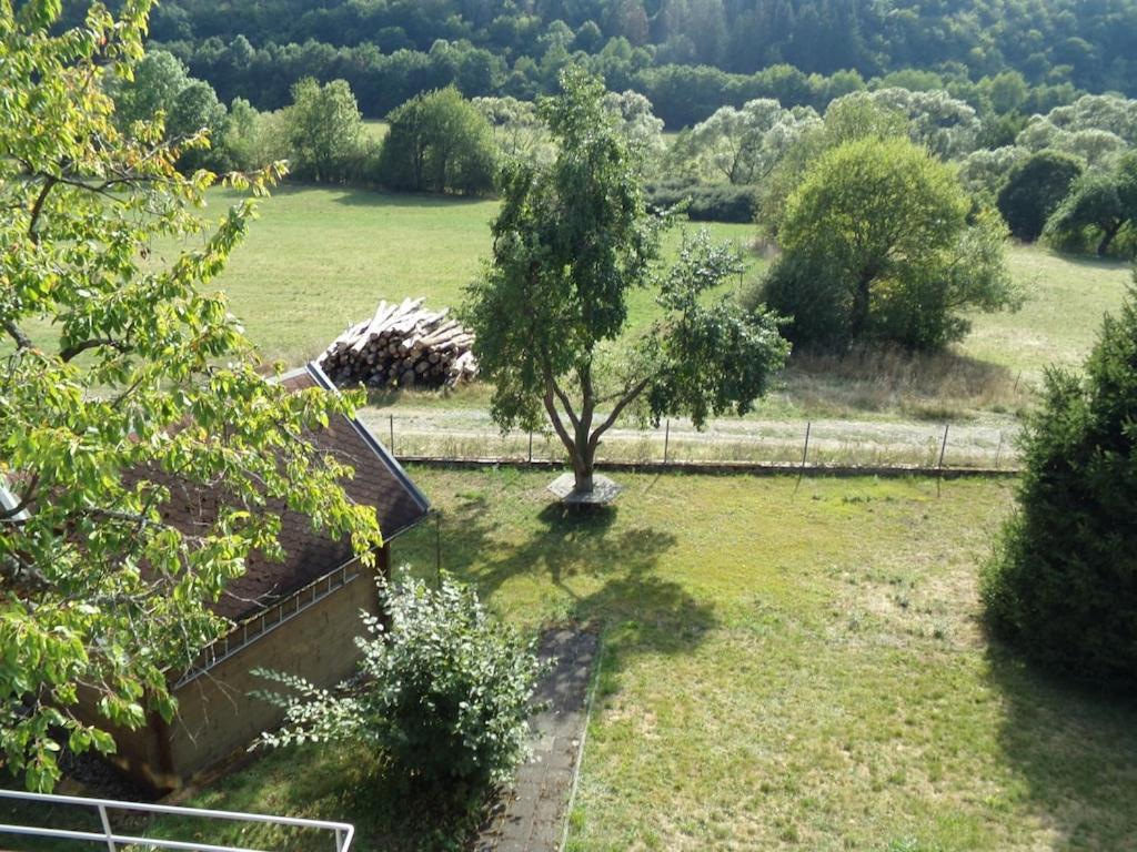 Ederauenblick Apartment Dodenau Екстериор снимка